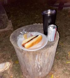 hot dogs